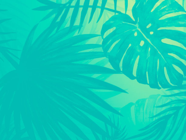 美丽抽象的颜色白色和绿色三叶大理石在白色的背景和黑白花岗岩瓷砖地板在绿色的背景，爱白色的叶子横幅图形，艺术马赛克装饰，绿色的花朵图片下载