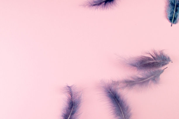 漂亮的蓝色羽毛在别针的背景图片下载