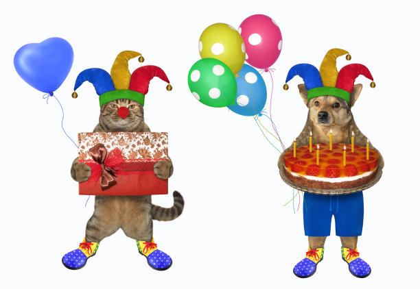 狗和猫穿着小丑服装图片下载