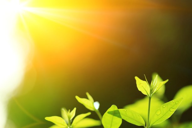 生命轮回的新起点。图片下载