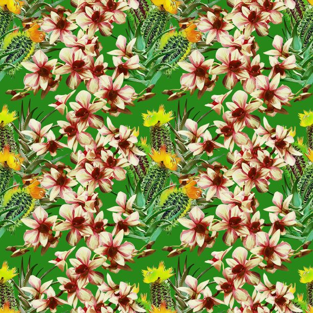 仙人掌与兰花，图案无缝。图片下载