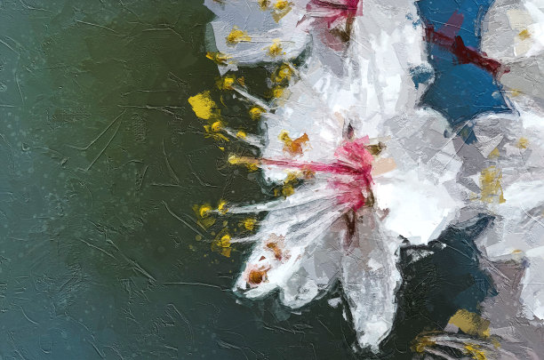 印象派艺术作品的一朵白花图片下载