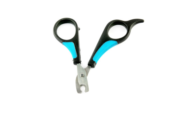 剪刀爪子的宠物(狗，猫)孤立的白色背景。图片下载