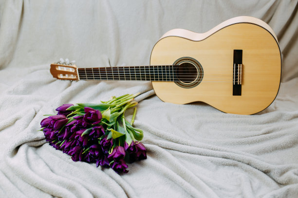 春天的花，紫色的郁金香，白色的吉他和花在灰色的背景，春天的音乐海报。图片下载