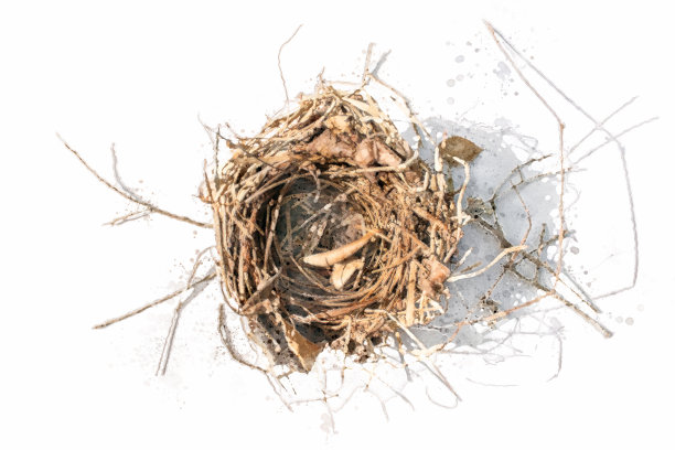 空鸟巢的水彩画图片下载