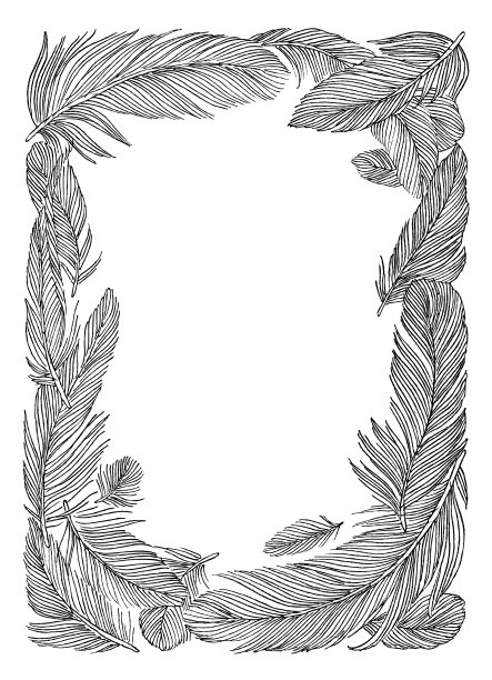 手绘羽毛框架插图图片下载