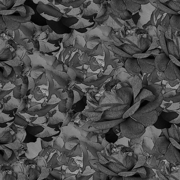 无缝图案与玫瑰花图片下载