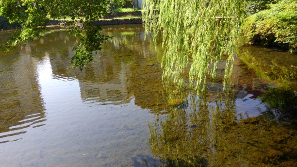 池塘图片下载