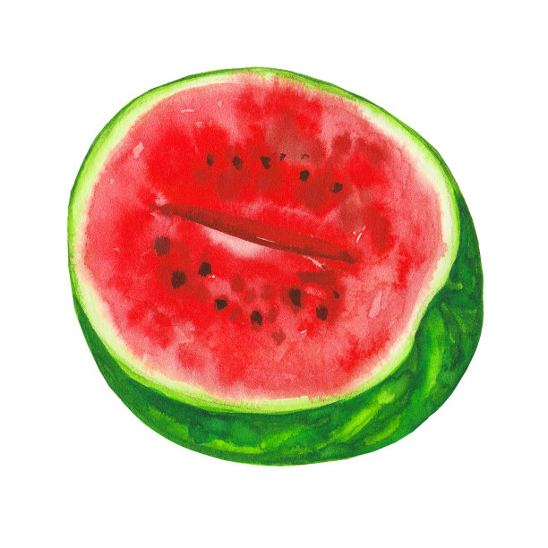 半个多汁明亮的西瓜。水彩插图孤立的白色背景图片下载