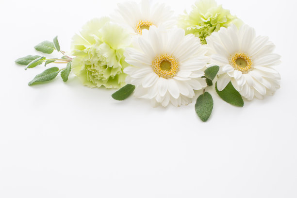 白色花朵的邀请图片下载