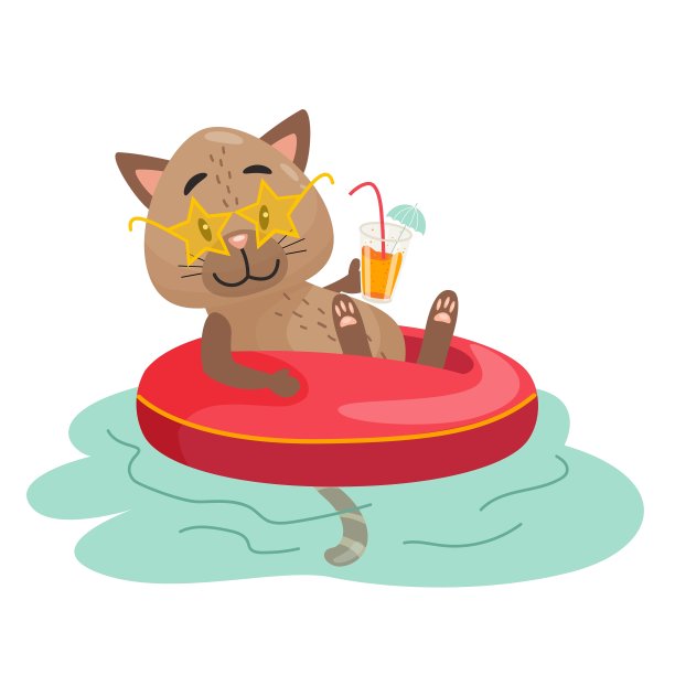 培训计划猫1图片下载