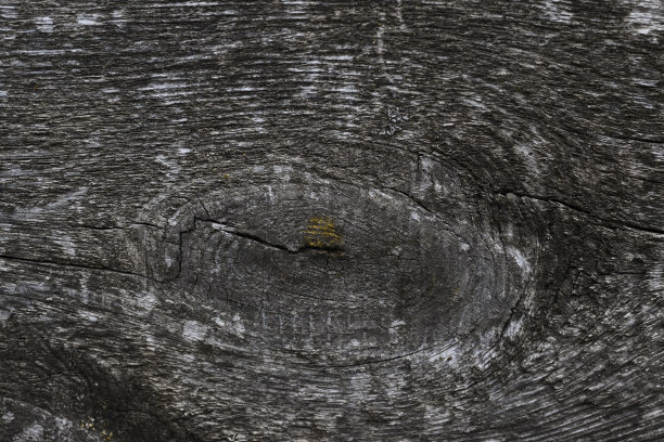 老木纹表面特写。表面有苔藓和浮雕。老木板的旧木纹和苔藓的库存照片。照片上的棕色和灰色。图片下载