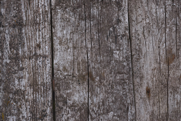 老木纹表面特写。表面有苔藓和浮雕。老木板的旧木纹和苔藓的库存照片。照片上的棕色和灰色。图片下载