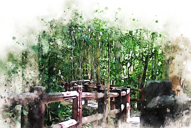 在水彩插画的背景上抽象彩色绿色形状的树枝。图片下载