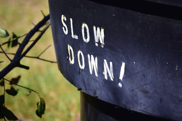 慢下来图片下载