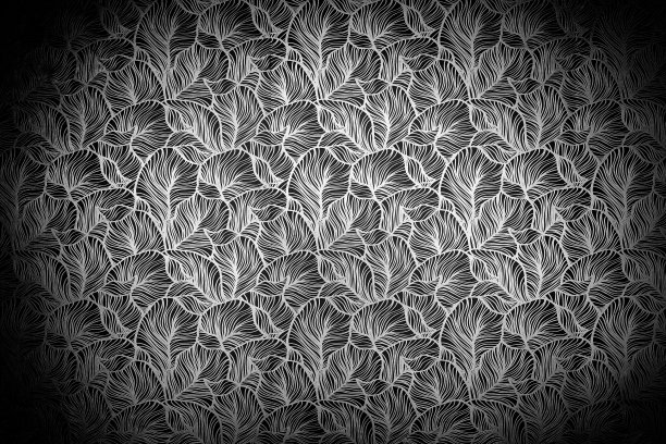 黑白色调风格墙纸图案背景。图片下载