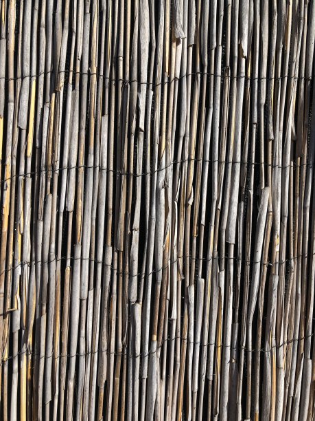 竹篱笆纹理图片下载