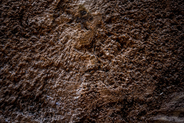 自然的纹理图片下载