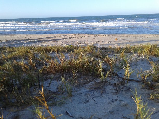 海滩上的大自然图片下载