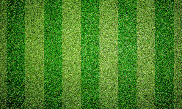 绿色草地纹理背景，绿色草坪，后院为背景，草地纹理，绿色草坪桌面图片，公园草坪纹理。3 d软件渲染。图片下载