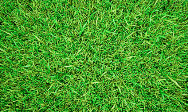 绿色草地纹理背景，绿色草坪，后院为背景，草地纹理，绿色草坪桌面图片，公园草坪纹理。3 d软件渲染。图片下载