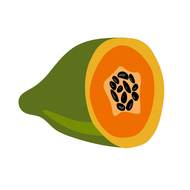 半个绿木瓜。带籽的成熟木瓜。矢量插图卡通平面图标孤立在白色。可用于:打印，横幅，标签，海报，不干胶，标志。图片下载