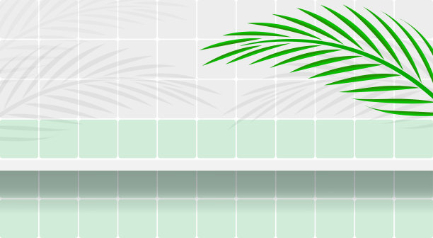 墙砖和架子用树叶棕榈作为背景和复制空间，浴室的架子上的墙砖和树叶棕榈阴影，货架地板和椰子叶，绿色柔和的墙砖光泽和棕榈枝图片下载