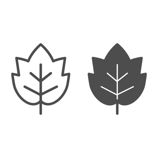 葡萄叶线和固体图标。酒叶标志或标志轮廓风格的象形文字在白色的背景上。酒厂和葡萄栽培标志的移动概念和网页设计。矢量图形。图片下载