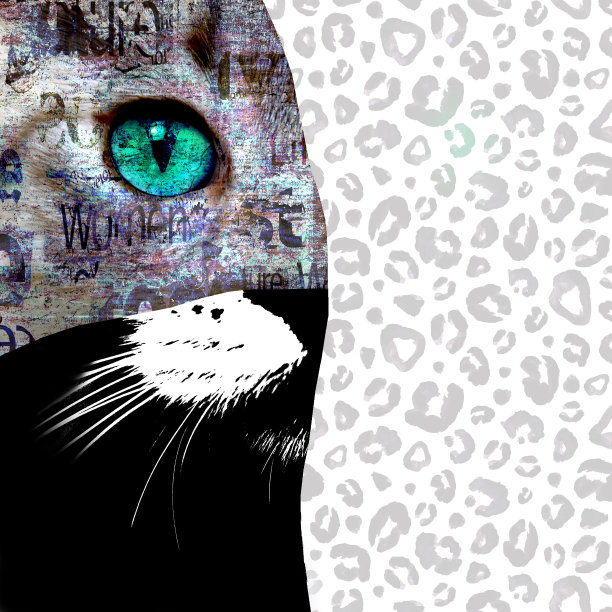 综合媒体艺术拼贴。近距离观看猫与绿色的眼睛。图片下载