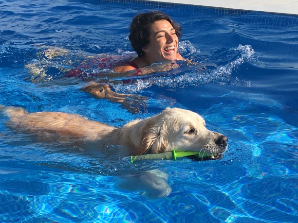 狗狗游泳图片下载