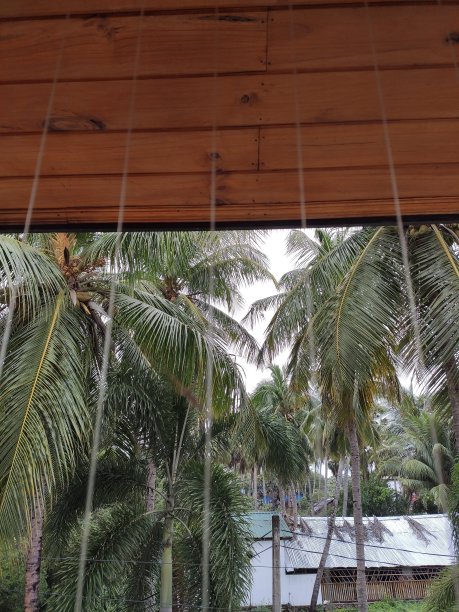 下雨的场景图片下载