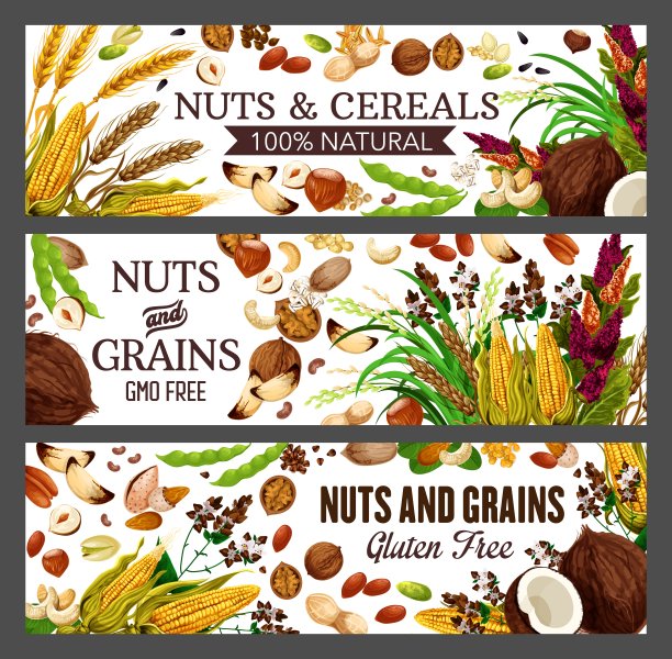 花生，核桃，杏仁，小麦，大米和椰子图片下载