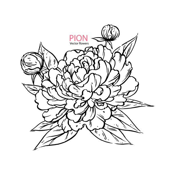 手绘介子图图片下载