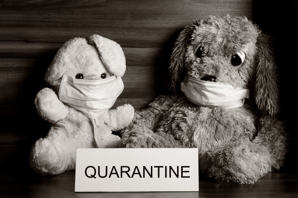 医用口罩中的婴儿毛绒玩具，流行病概念。新型冠状病毒感染检疫图片下载