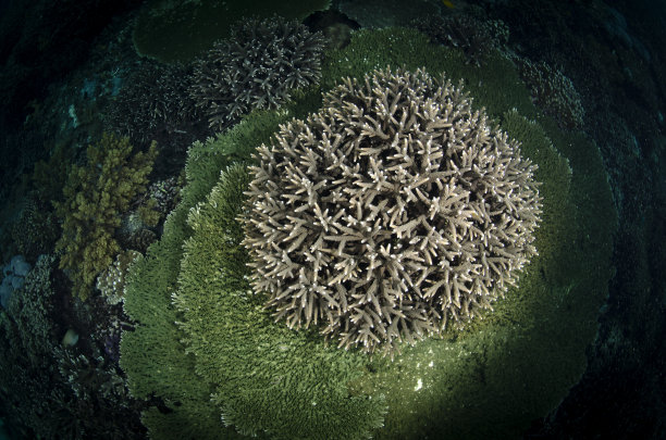 热带环境图片下载