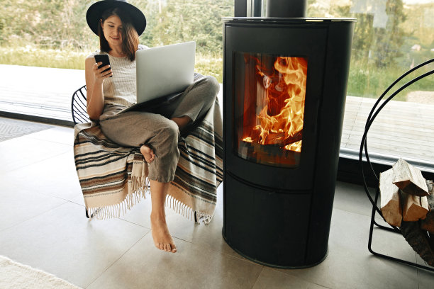 在家网上购物。时尚的潮人女孩拿着手机和笔记本电脑，坐在现代起居室壁炉旁的舒适椅子上，起居室有大窗户。在家工作。自由职业者图片下载