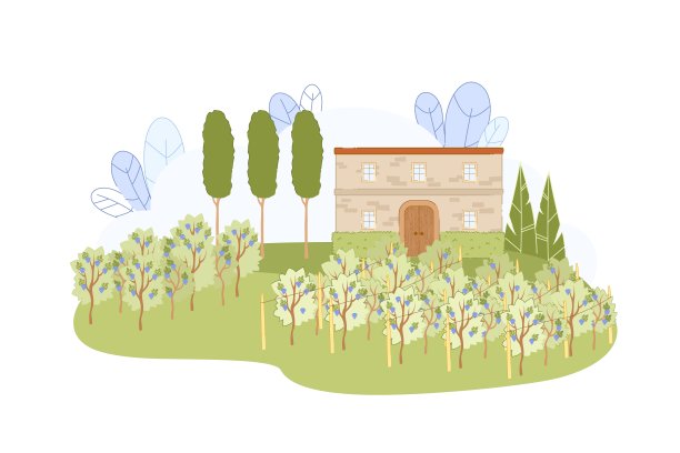 葡萄园农场与老房子和葡萄藤排图片下载