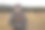 一位老人用遥控器控制一架无线电控制的飞机。图片下载