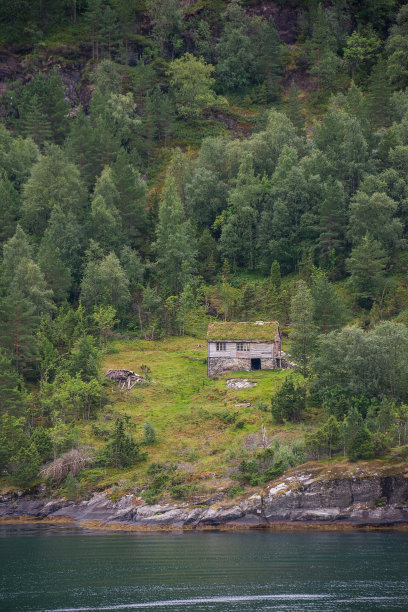 挪威峡湾森林中的房屋图片下载