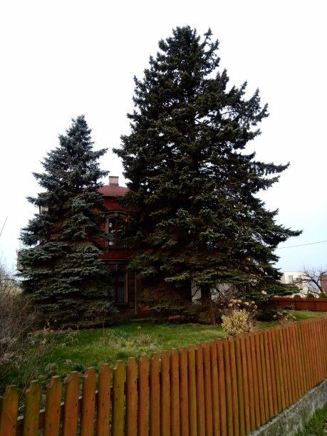 老城回家图片下载