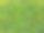 郁郁葱葱的绿叶植被格局墙背景。图片下载