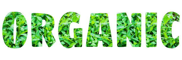 “有机”一词以清新的春天绿草草坪为背景。图片下载