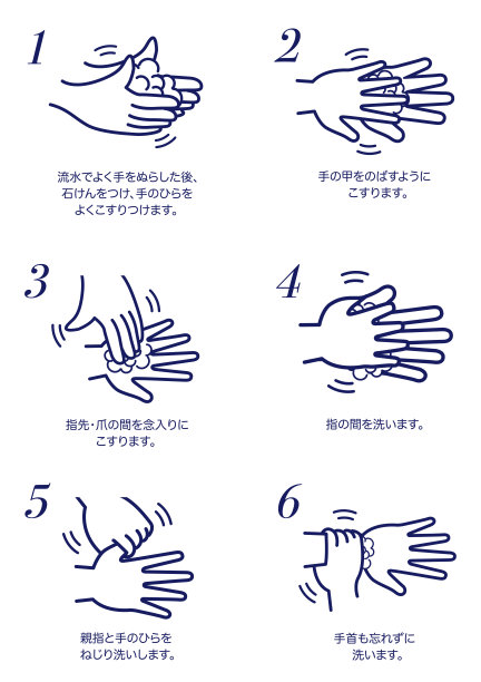 正确洗手信息图，矢量图。图片下载