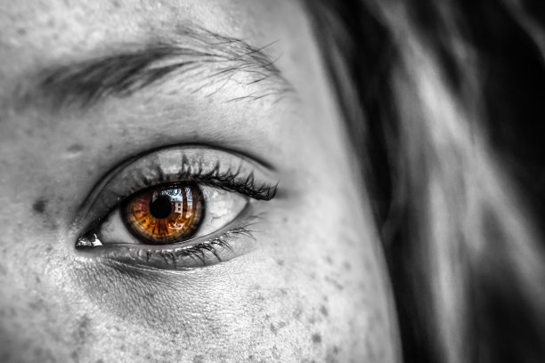 棕色眼睛特写镜头图片下载