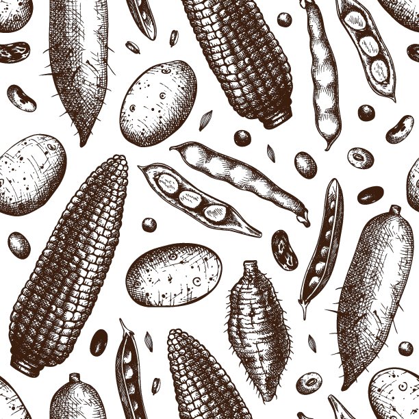 农业植物背景。图片下载