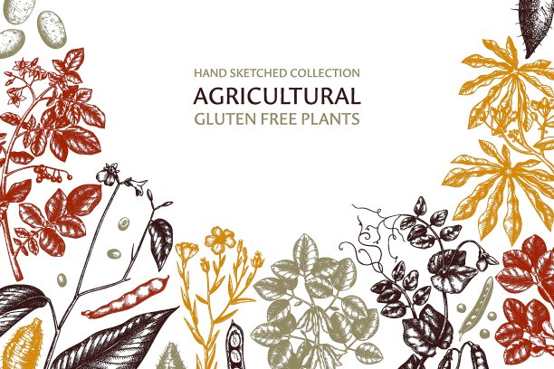 农业植物设计。图片下载
