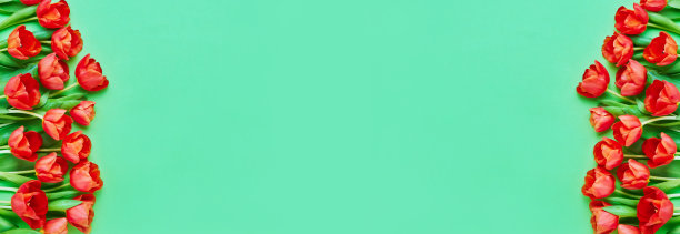 假日旗帜。绿色背景上的红色郁金香。母亲节，情人节，生日庆祝概念。拷贝空间，俯视图图片下载