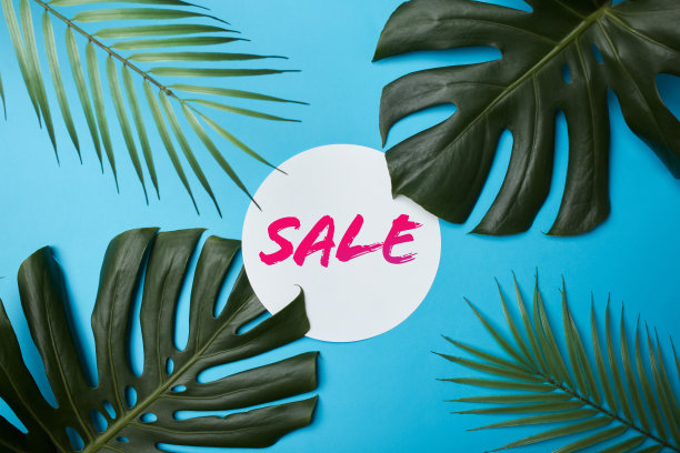 销售文本与热带树叶背景。自然和夏季促销概念库存照片…图片下载