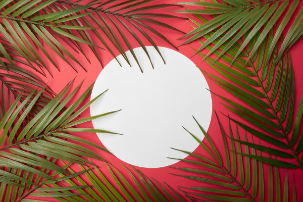 热带树叶和圆形框架背景复制空间或文字创意广告库存照片图片下载