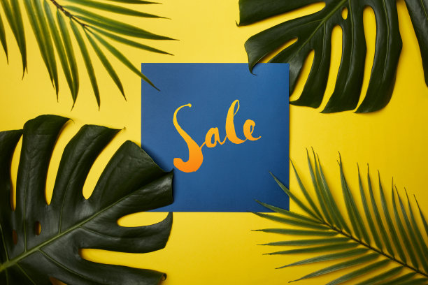 销售文本与热带树叶背景。自然和夏季促销概念库存照片…图片下载